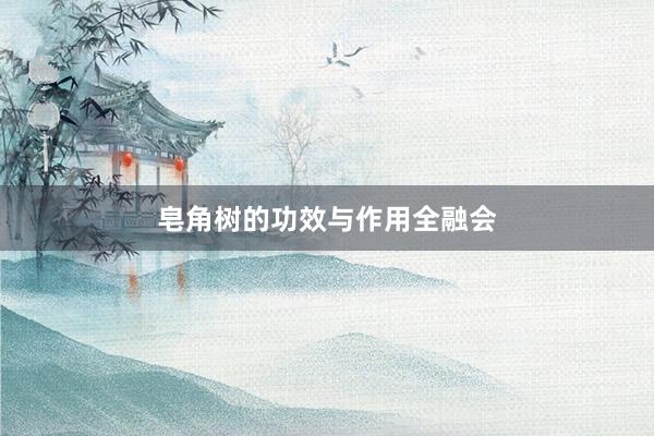 皂角树的功效与作用全融会