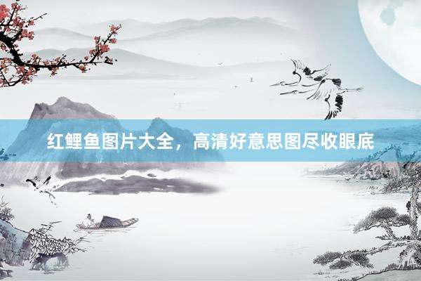 红鲤鱼图片大全，高清好意思图尽收眼底