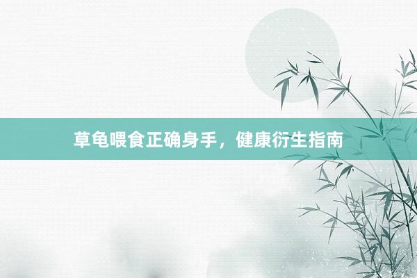 草龟喂食正确身手，健康衍生指南